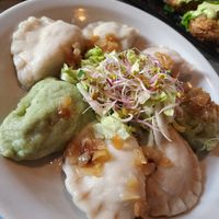 Boiled pierogi at Vege Miasto in Warsaw