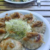 Pierogis ❤️❤️❤️ at Vege Miasto in Warsaw