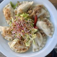 Pierogi  at Vege Miasto in Warsaw