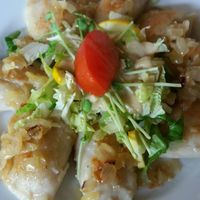 Russian dumplings at Vege Miasto in Warsaw