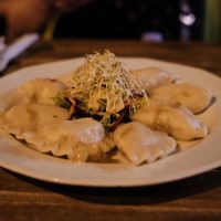 Boiled “russian” pierogi, so delicious! at Vege Miasto in Warsaw