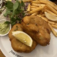 Cauliflower Schnitzel  at Hofbräuhaus Melbourne in Melbourne