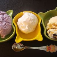 vegan blueberry yogurt, vegan coconut, and vegan chocolate cookies ice creams at Itim Roi Ros (100 Flavors of Ice Cream) - ไอติม100รส in Chiang Mai