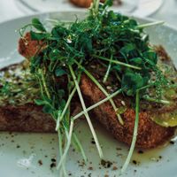 Avocado Toast  at The Rose Establishment in Salt Lake City