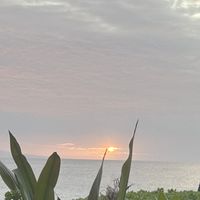 sunset view from restaurant  at Maui Brewing Co in Kahana