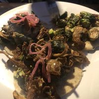 Mushroom Brussel sprout taco at Mesa Verde in Santa Barbara