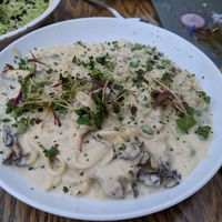 Mushroom Alfredo at Mesa Verde in Santa Barbara