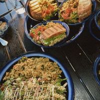 Falafel salad and tuna melt   at True Vegan in Delray Beach