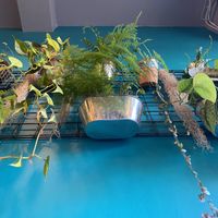 Gorgeous surroundings  at Power Plant Cafe in Plymouth