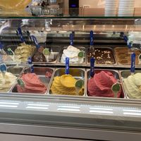 Vegan ice cream marked with green label at Leggenda - Rothschild in Tel Aviv