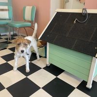  at Antons Milchbar in Aachen