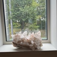   at Hibino Cafe AGT in Sapporo