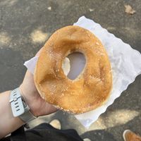 The vegan big-ass donut  at Caffe Trastevere in Rome