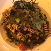 Seasonal menu: summer pasta - delicious! at Stadtwirtschaft Freiberg in Freiberg Saxony
