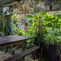 Setting at Mr. Deang's Shop in Chiang Mai