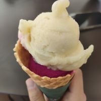  at Belluno in Santa Catarina