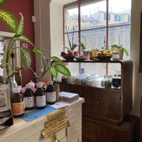   at InFusion in Genoa