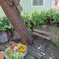 The little garden and the great food at InFusion in Genoa