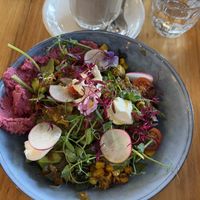   at Avodi Vegetarian & Cafe in Auckland