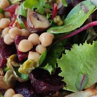  at Experimental station rainbow 12 in Bansko