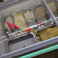 A few vegan options at Gelarte, la Gelateria Italiana in Maputo