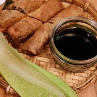 Giant tofu and vegetable spring rolls at The Saigon Kitchen in Bristol