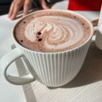 Oat milk hot cocoa at Jing Si Books & Cafe Plantarium Branch 靜思書軒植境店 in Taipei City