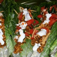 Tempeh Tacos!!! at Rawtopian Bliss Cafe in Columbia