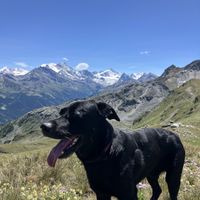   at Vegan Friendly BnB in Sierre