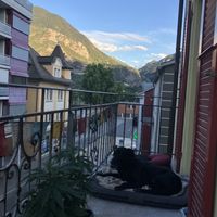   at Vegan Friendly BnB in Sierre
