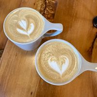   at Dreamstate Cafe in Minneapolis