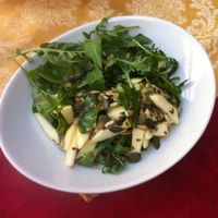 vegana salad with apple, seeds, and a nice light dressing  at Ben D'Iddio in Pisa