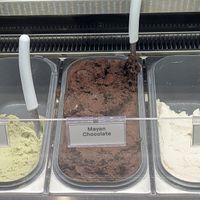 dairy-free flavors at Bonta Gelato in Portland