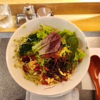 Oriental Vegan-Friendly Ramen at MERCY Vegan Ramen in Osaka