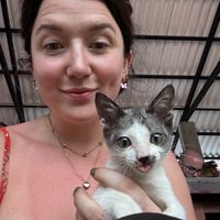   at The Rooftop in Tissamaharama