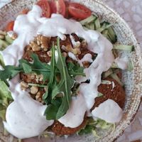 Falafel-Salat at Moena - Magdeburg in Magdeburg