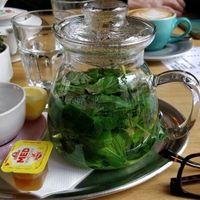 lunch at Cafe Neustadt in Prague