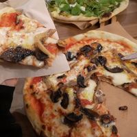 Mushroom at MASSALENTA in Castelo Branco