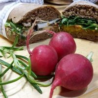 vegan sandwich in San Domenico Caffe at San Domenico Caffe in Kosice