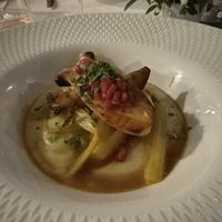 Golden fennel with celery cream, king oyster mushrooms, pomegranate  at Restaurant Stella Freiburg in Freiburg