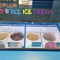 Good flavours at Planet Ice Cream & Candy in Treasure Island