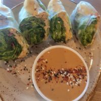Kimchi spring rolls at Avo in Nashville