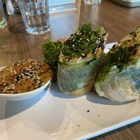 KIMCHI SPRING ROLLS>>  at Avo in Nashville