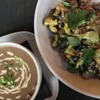 Creamy Mushroom soup and the Squash rice!  at Avo in Nashville