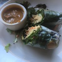 kimchi Rolls at Avo in Nashville