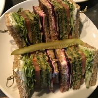 Avo club  at Avo in Nashville