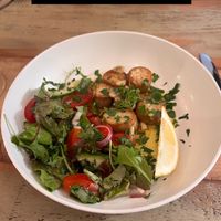   at Plantuguese in England