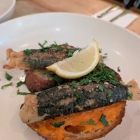  at Plantuguese in England