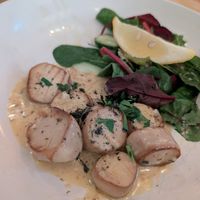  at Plantuguese in England