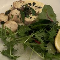   at Plantuguese in England